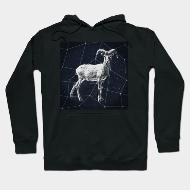 Capricorn Constellation Hoodie by RAADesigns